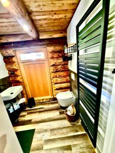 a bathroom with a toilet and a wooden wall at Blockhaus PanHütte in Braunlage