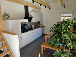 uma cozinha com armários brancos e uma grande planta em Lieblingsort am Moor em Gnarrenburg