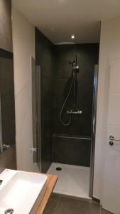 une salle de bain avec douche et lavabo dans l'établissement Lieblingsort am Moor, à Gnarrenburg 22 autres photos