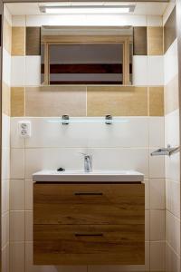 a bathroom with a sink and a mirror at Apartmán Pod Zámkem in Moravský Krumlov