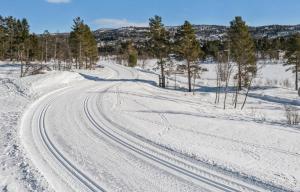 Geilo sentrum for 4 personer v zimě