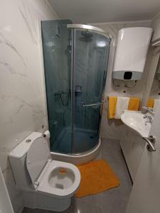 e bagno con doccia, servizi igienici e lavandino. di Beetlejuice Apartments a Šibenik