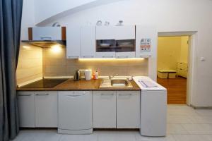 Kuchyň nebo kuchyňský kout v ubytování Apartment Americká 8