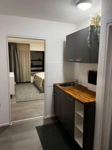 uma cozinha com um lavatório e um quarto com uma cama em Isaak Appartment Burgnähe em Küssaberg