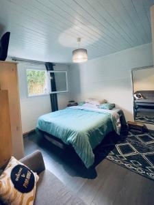 um quarto com uma cama e um espelho em Agréable maison de vacances em Soustons