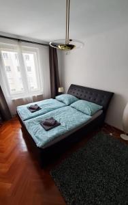a bedroom with a bed with a blue comforter and two windows at The Vast Core in Vienna