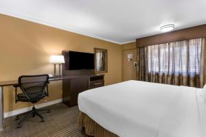 Habitación de hotel con cama grande y escritorio. en Best Western Royal Sun Inn & Suites en Tucson