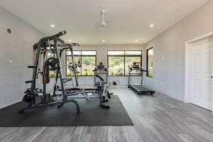 un gimnasio con dos máquinas de correr en una habitación en Sun Shine Luxury Villas 2 bedroom Pool & Gym Ocho Rios St Ann, en Ocho Ríos