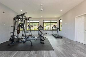 Fitness centrum a/nebo fitness zařízení v ubytování Sun Shine Luxury Villas 2 bedroom Pool & Gym Ocho Rios St Ann