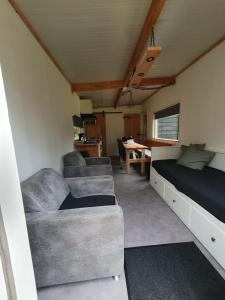 ein Wohnzimmer mit einem Sofa und einem Bett in der Unterkunft Natuurchalet de Das in Wehl