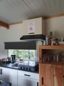 a kitchen with a stove and a sink at Natuurchalet de Das in Wehl