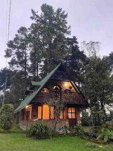a small house with a green roof in the grass at Tiny Chalet in the clouds in Medellín