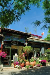 a store with flowers and plants in front of it at Peking Youth Hostel in Beijing