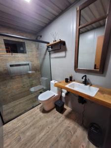 uma casa de banho com um WC, um lavatório e um espelho. em Cerro Leão Estância- chalé em Bom Jardim da Serra