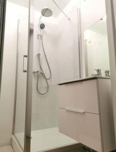 a bathroom with a shower and a mirror at Maison de ville Rouen Darnétal in Darnétal
