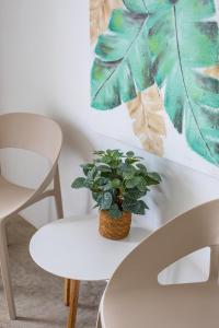 Mynd úr myndasafni af Boutique Hotel & apartments JT Curaçao í Willemstad
