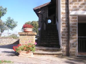 una casa con dos macetas de flores en las escaleras en Farmhouse with pool in an area with history nature and art en Bagnoregio
