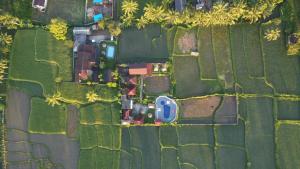 an overhead view of a field with a house and trees at Pondok Indah Bungalows Tetebatu in Tetebatu