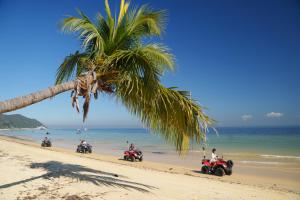 a group of people riding motorcycles on a beach with a palm tree at Tangalooma Island Resort in Tangalooma