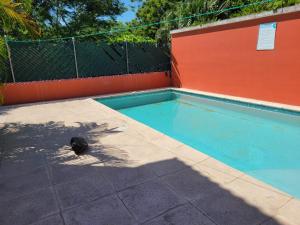 un chat est assis à côté d'une piscine dans l'établissement Casa en condominio monterrico, à Iztapa