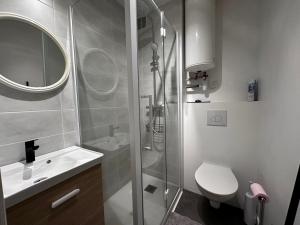 Koupelna v ubytování Studio rénové près de la plage avec Wi-Fi et animaux admis - FR-1-540-259 + 8 fotografií