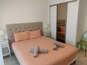 een slaapkamer met een bed met twee handdoeken erop bij Charmant appartement au bord du Thiou - Annecy in Annecy