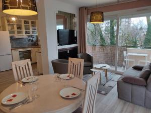 een keuken en een woonkamer met een tafel en stoelen bij Charmant appartement au bord du Thiou - Annecy in Annecy