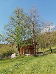 ein Haus inmitten eines Feldes mit Bäumen in der Unterkunft Kuća u šumi - Forest house near National park Una - Air Spa Lohovo in Bihać