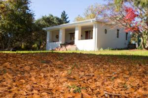ein Haus mit einem Haufen Blätter davor in der Unterkunft Khayalethu Cottage in Hogsback