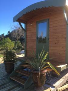 eine Holzhütte mit grüner Tür und Topfpflanzen in der Unterkunft LA ROULOTTE DE MOUCHOU in Saintes-Maries-de-la-Mer