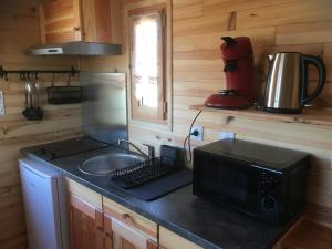eine kleine Küche mit einer Spüle und einer Mikrowelle in der Unterkunft LA ROULOTTE DE MOUCHOU in Saintes-Maries-de-la-Mer