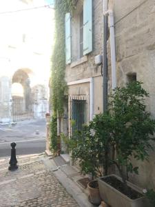 Gambar di galeri bagi Appartement face aux Arènes di Arles