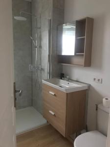 bagno con doccia, lavandino e servizi igienici di Cocon familial dans le Pays Bigouden ! a Plonéour-Lanvern