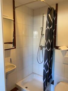 een badkamer met een douche, een toilet en een wastafel bij S17 ferienappartments in Flensburg