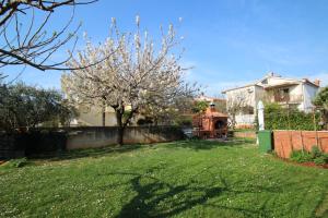 Zahrada ubytování Apartments with a parking space Novigrad - 7108