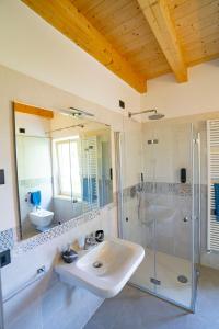 een badkamer met een wastafel, een douche en een spiegel bij RipassoQui in Custoza