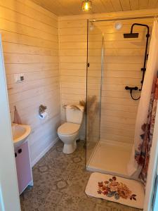 a bathroom with a toilet and a glass shower at Wiejskie Swawole-domki w lesie na wsi 