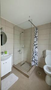 a bathroom with a shower and a toilet and a sink at Conacul din Pădure in Poiana Mărului