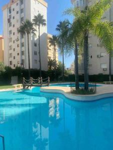 une grande piscine avec des palmiers et des bâtiments dans l'établissement Tropicana Park, à Gandía