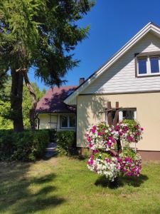 Zahrada ubytování Katase Puhkemaja