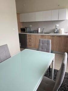 Kuchyň nebo kuchyňský kout v ubytování Anton Apartment