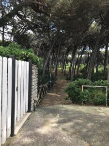 Foto dalla galleria di Il Pinolo 2 a Marina di Cecina