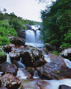 a stream of water with rocks and trees at Handapan Falls - Holiday Resort in Rakwana
