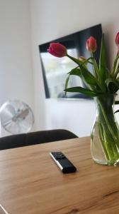 Televízia a/alebo spoločenská miestnosť v ubytovaní Comfortable Apartments Vienna 1100 with contactless Check-in