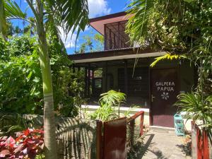 a house with a palm tree in front of it at Homestay Galpera Papua in Jayapura