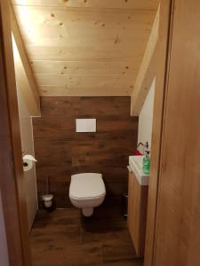 een kleine badkamer met een toilet en een wastafel bij Premiumalmhütte Wiedhupf in Peterdorf