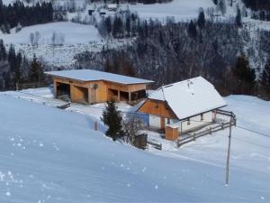 Premiumalmhütte Wiedhupf v zimě