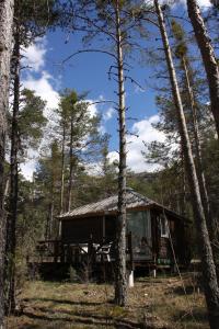 a cabin in the woods with trees at Camping du Villard in Thorame-Basse +27 photos
