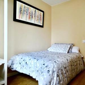 ein Schlafzimmer mit einem Bett und einem Bild an der Wand in der Unterkunft Piso Riazor 4 habitaciones in A Coruña