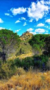 a hill with trees and a castle on top of it at Les chambres d'hôtes du Relais d'Aguilar in Tuchan